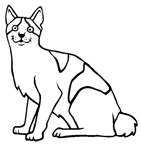 japoński bobtail