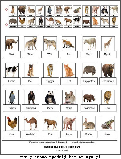 zgadnij_kto_to_plansze_4