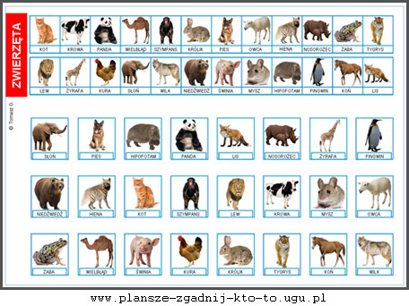 zgadnij_kto_to_plansze_6